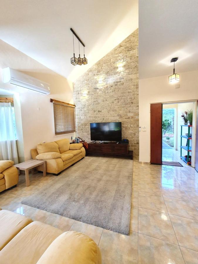 Huge & Private Villa In Kibbutz Dafna Extérieur photo