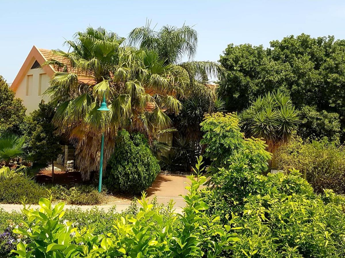 Huge & Private Villa In Kibbutz Dafna Extérieur photo